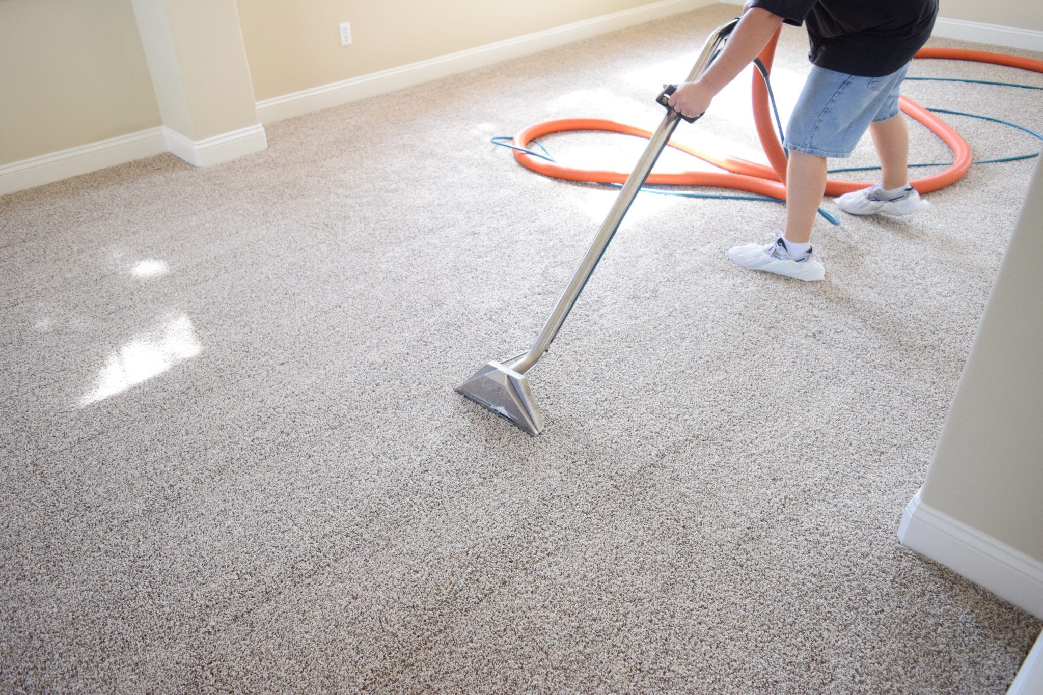 Tampa Carpet Cleaning True Price Carpet Cleaning
