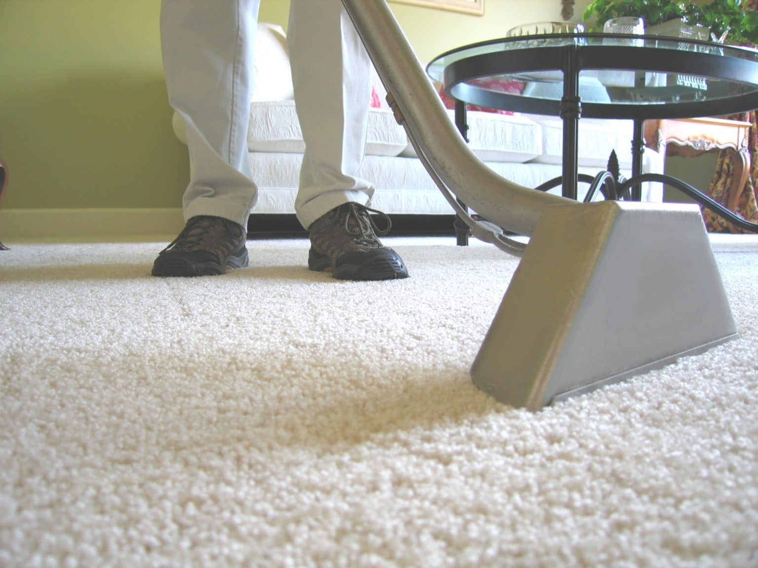 Tampa Carpet Cleaning True Price Carpet Cleaning