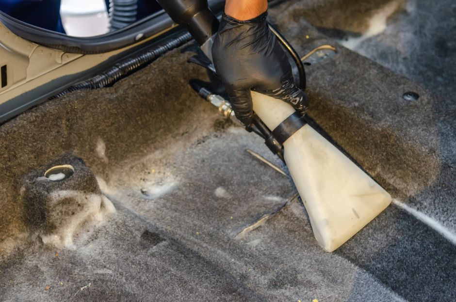 Professional Carpet Cleaning Services: What You Need to Know