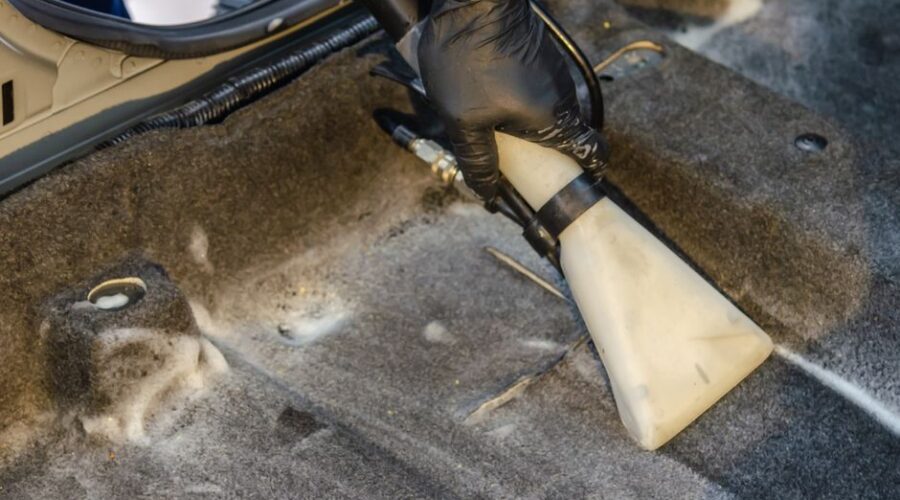Professional Carpet Cleaning Tampa Bay: Your Complete Guide