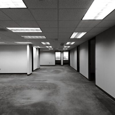 Commercial Carpet Cleaning Tampa: A Guide for Business Owners