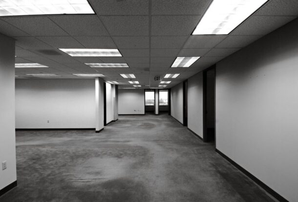 Commercial Carpet Cleaning Tampa: A Guide for Business Owners