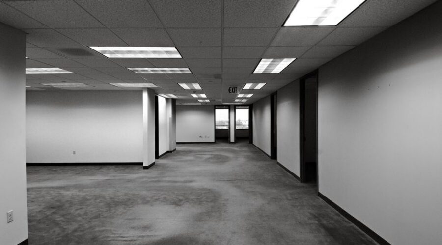 Commercial Carpet Cleaning Tampa: A Guide for Business Owners